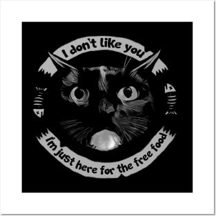 "I don't like you"- Cat Posters and Art